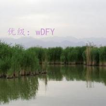 ҵ